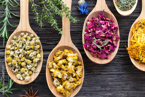 Принти на полотні Herbs on spoons on a wooden background, top view