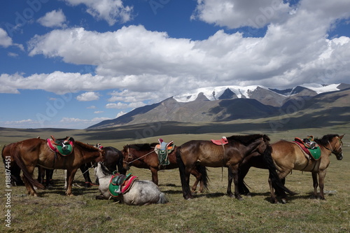 Horse Riding Holiday Mongolia © Christine