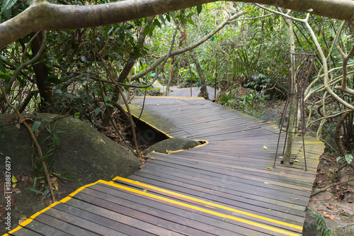 A path with wooden steps in the rainforest of YaNoDa Park in China