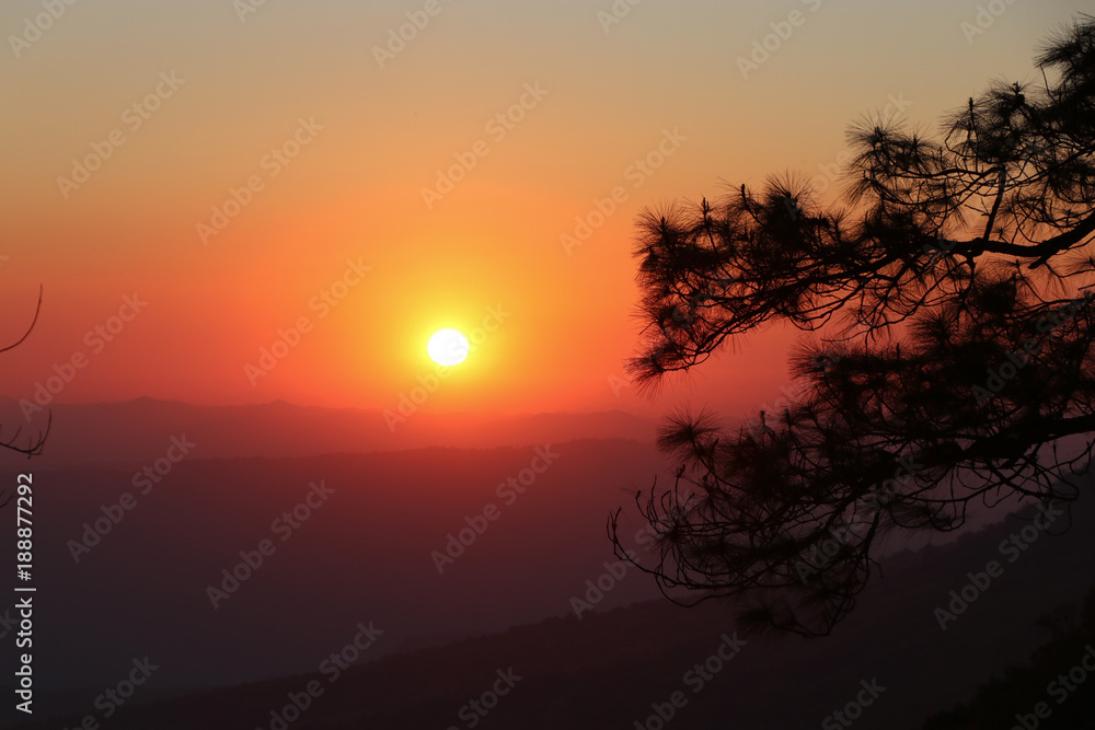 Sunset silhouette background nature landscape view