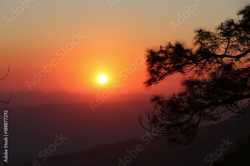 Sunset silhouette background nature landscape view