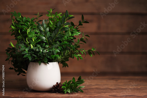 Green bouquet in white vase on a wooden table closeup. Background for a postcard. Shallow depth of field