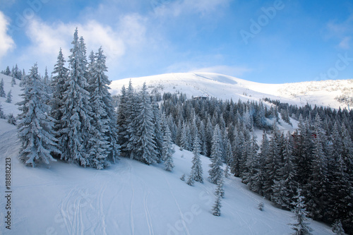 Winter landscape in mountains fir forest in snow on blue sky