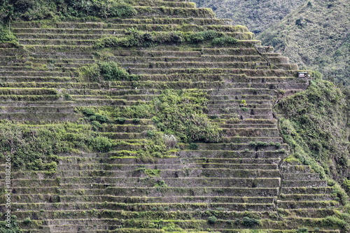 Batad village-rice terraces seen from the lodges area. Banaue-Ifugao-Luzon-Phlippines. 0146