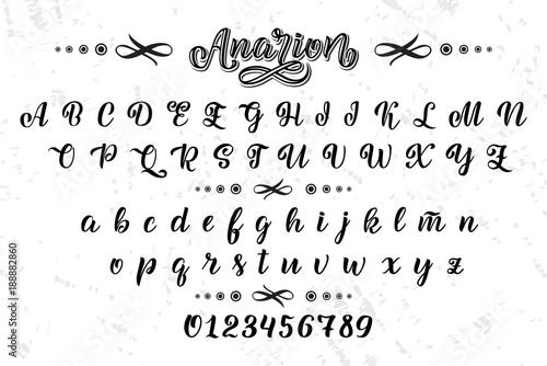 Hand drawn typeface. Brush painted letters. Handwritten script alphabet isolated on white background. Handmade alphabet for your designs logo, posters, invitations, cards, etc.