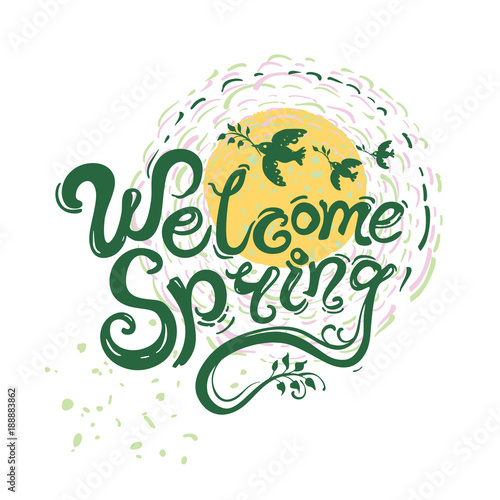 Fototapeta Naklejka Na Ścianę i Meble -  Welcome spring handwriting lettering design greeting card. Vector illustration with inscription and birds with twigs and rays of the sun.