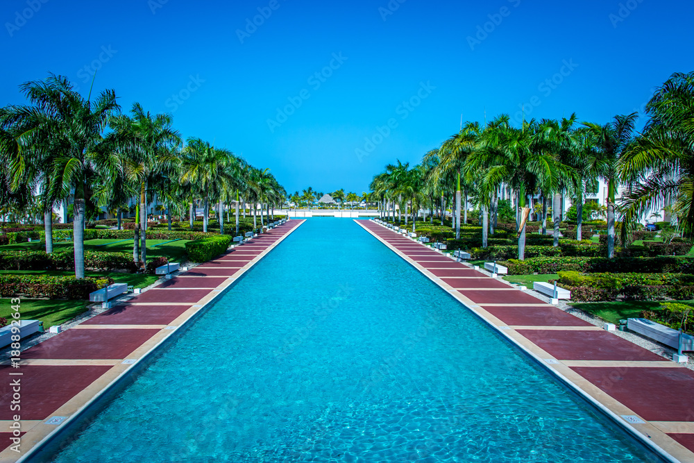 Infinity pool lined with palm trees and gardens.