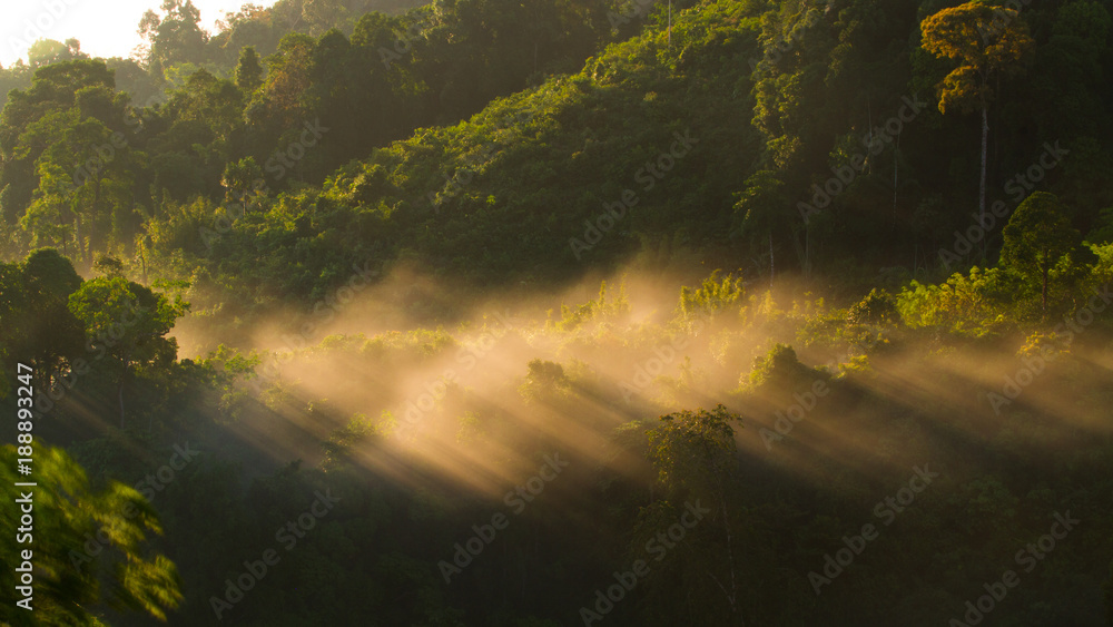 Long exposure of tropical forest in the morning mountain valley landscape over mist, on Viewpoint Khao Kai Nui, Phang Nga, Thailand, Landscape and backgrounds. Long exposure of tropical forest in the morning mountain valley landscape over mist, on Viewpoint Khao Kai Nui, Phang Nga, Thailand, Landscape and backgrounds.