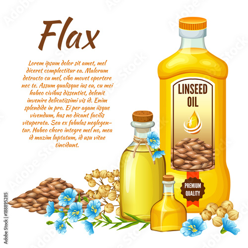 Poster linseed oil, flax field, seeds and flowers. Vector illustration.