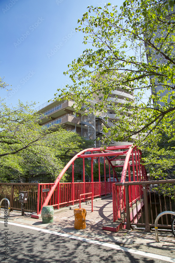 Landscape of Meguro river in spring time Landscape of Meguro river in spring time
