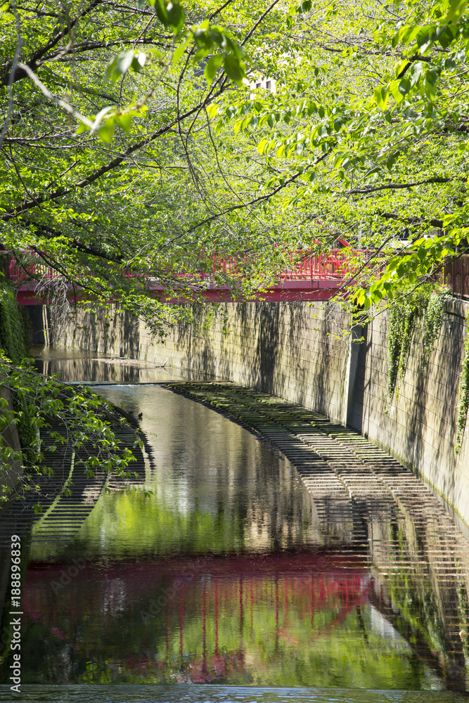 Landscape of Meguro river in spring time Landscape of Meguro river in spring time
