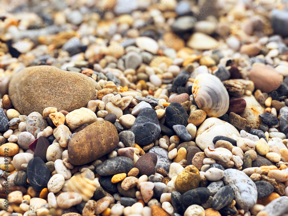 Pebbles and Shells