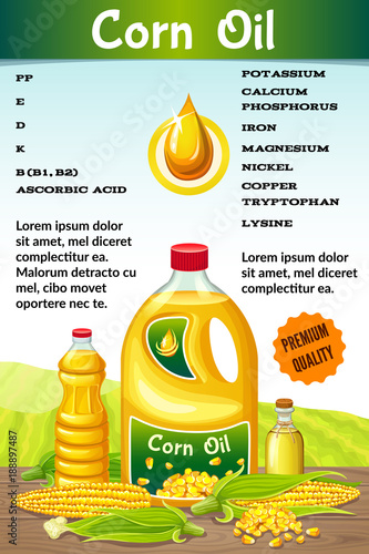 Infographic corn oil, benefits corn, food infographic vitamins. Vector illustration.