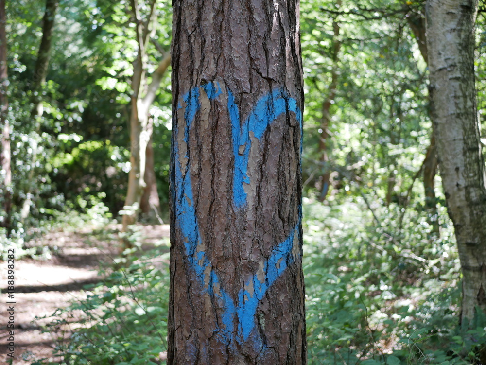 Fototapeta premium Love