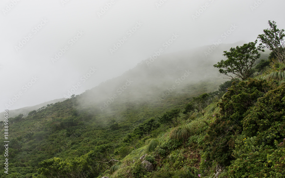 霧がかった山の斜面