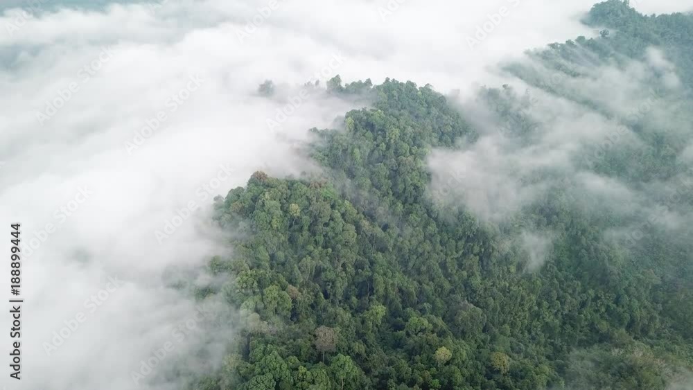 Rainforest. Aerial view of rain forest jungle hillside landscape and clouds Rainforest. Aerial view of rain forest jungle hillside landscape and clouds