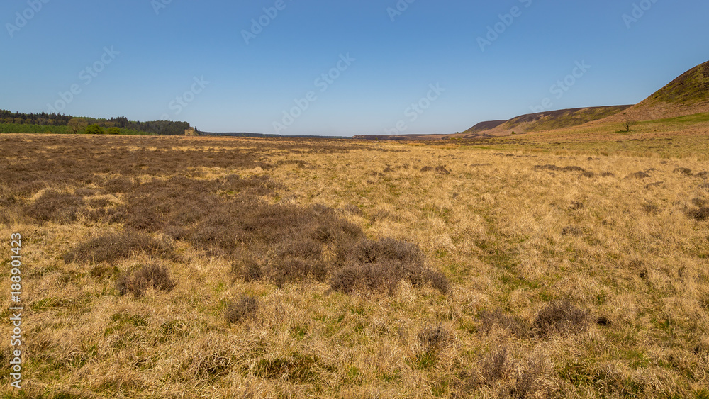 Landscape in the North York Moors National Park, UK Landscape in the North York Moors National Park, UK