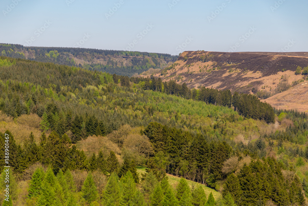 Landscape in the North York Moors National Park, UK
