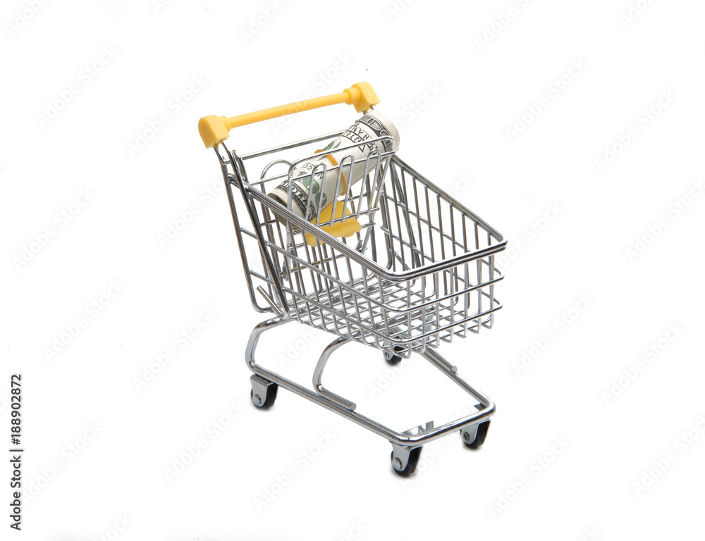 cart with money isolated on the white