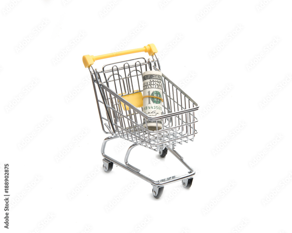 cart with money isolated on the white