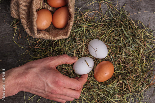 The man hand is raising egg from nest hay.
