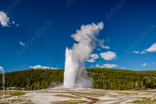 Fotografie, Tablou Old Faithful geyser in Yellowstone National Park