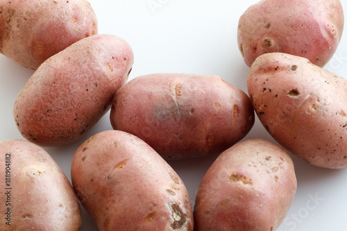 A lot of dirty potatoes on a white background. Potatoes scattered on a white background. photo