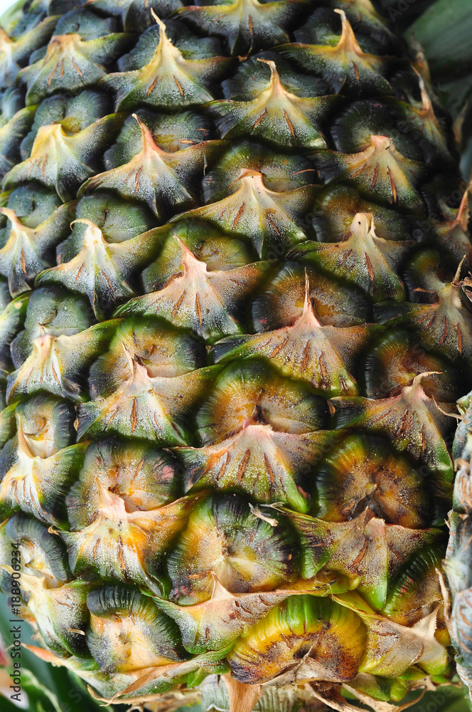 The eyes of the pineapple