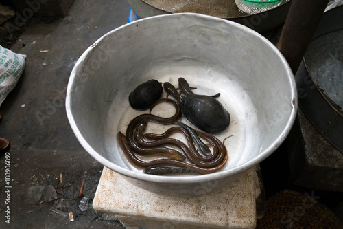 Local seafoods in Ima market, Manipur, India photo