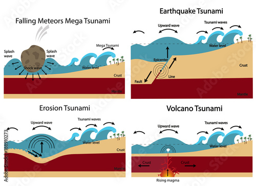 Establishment of Tsunami