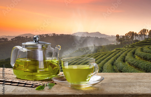 Cup of hot green tea and glass jugs or jars and reen tea leaf on the wooden table and the tea plantations background