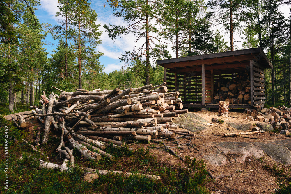 Firewood for tourists in the Skuleskogen national park in Sweden in summer.