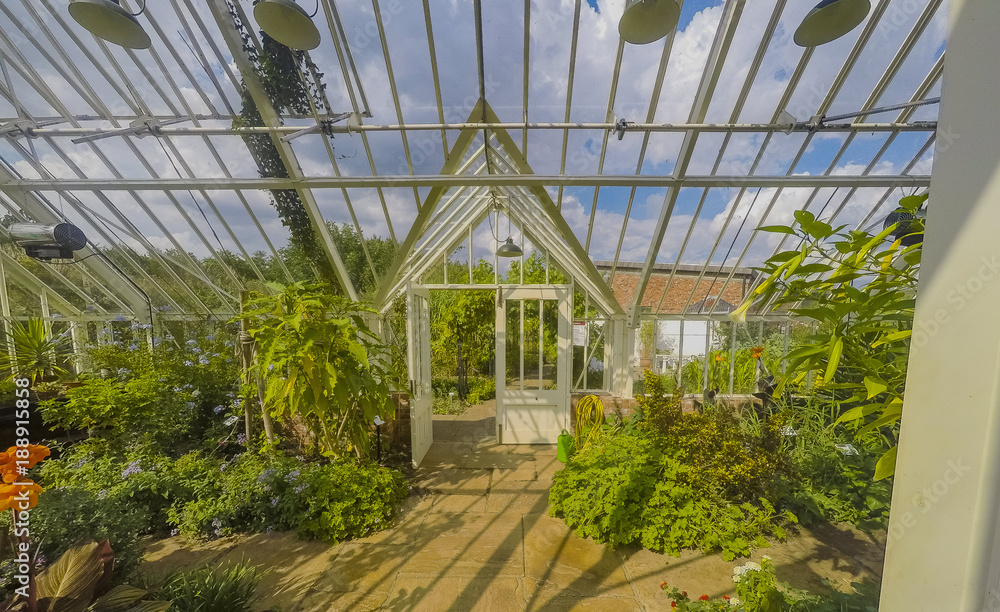 greenhouse ryton organic gardens nr. coventry midlands england