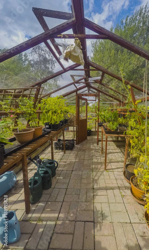 greenhouse ryton organic gardens nr. coventry midlands england