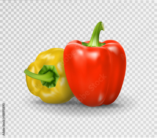 Set of two peppers. Yellow, red pepper. Vector illustration, natural pepper realistic image with shadow for culinary products and recipes illustration