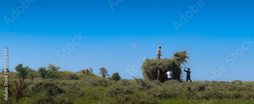 Agriculture during the summer