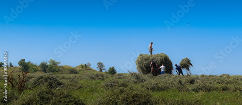 Agriculture during the summer