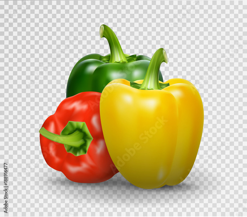 Set of three peppers. Yellow, red and green pepper. Realistic Vector illustration of paprika.