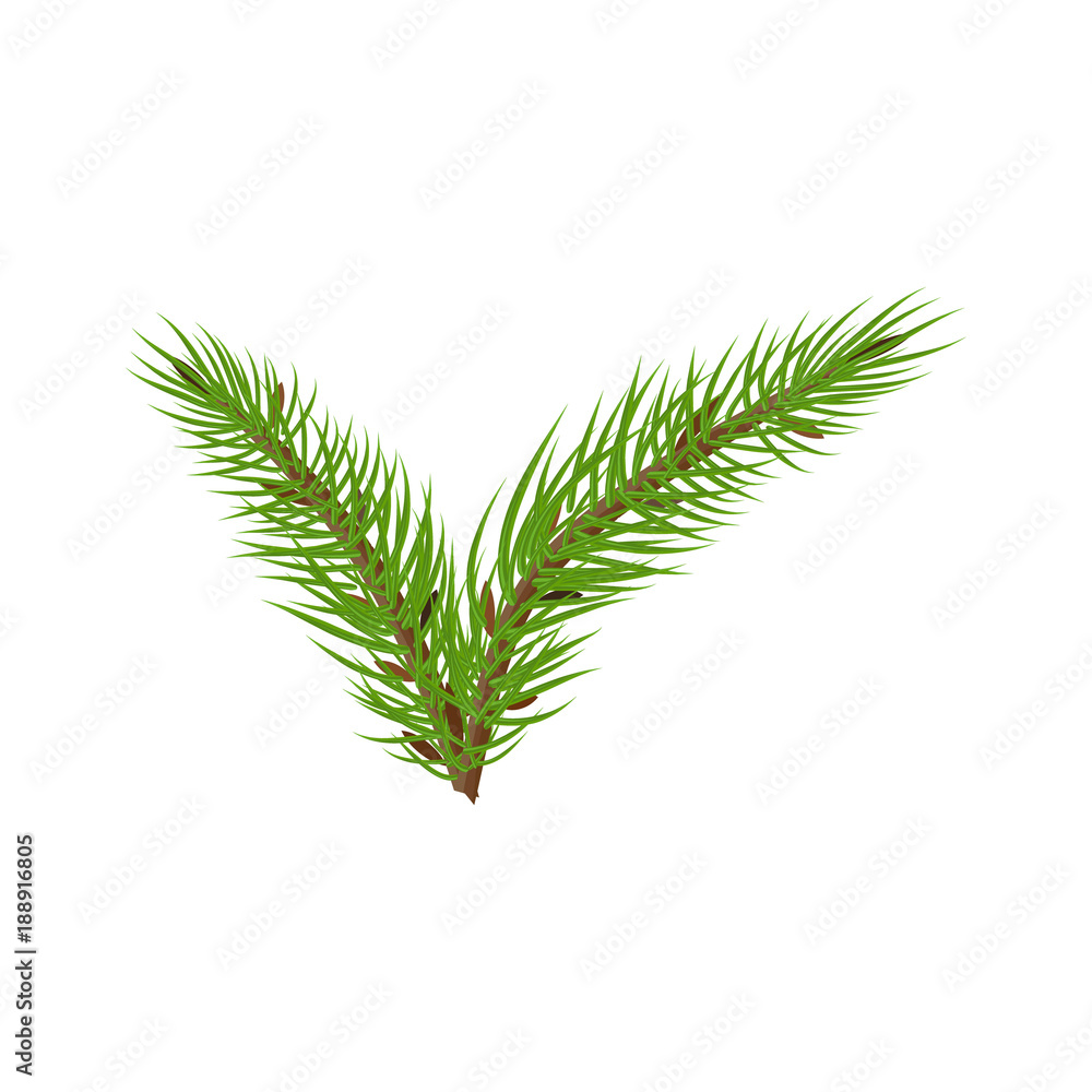 spruce branches check mark spruce branches check mark