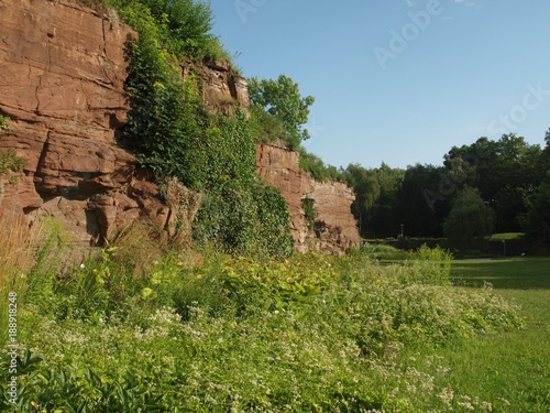 Bewachsene Felsen im Hoehenpark Killesberg in Stuttgart