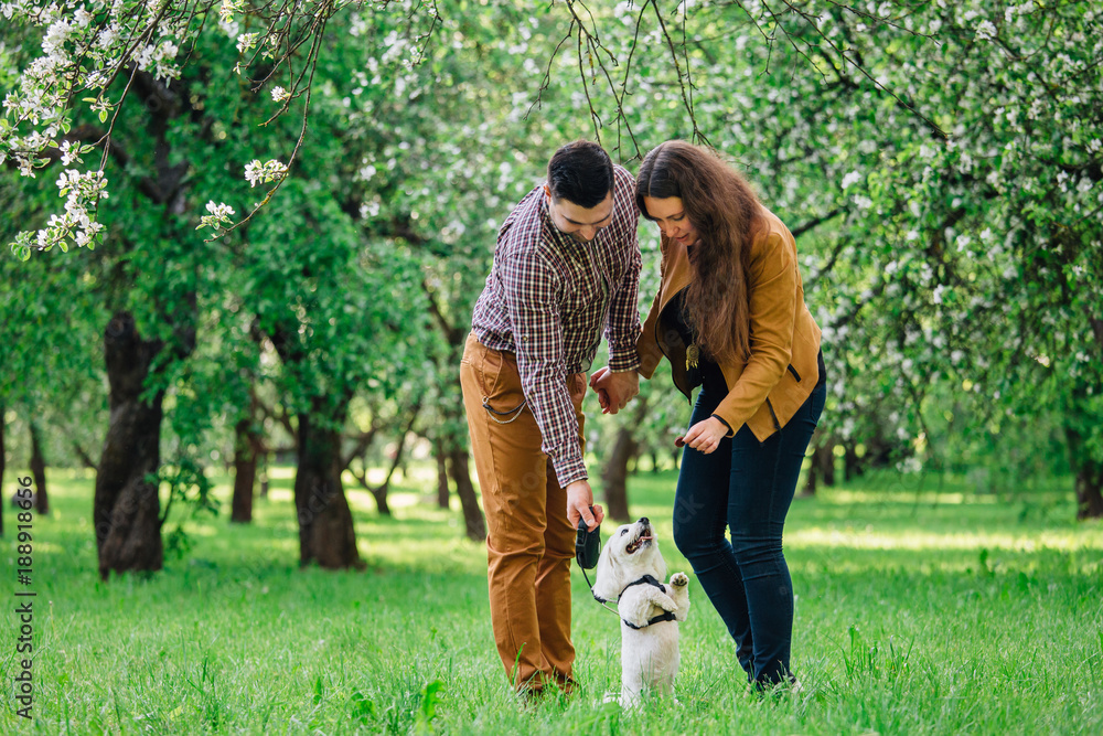 Young stylish happy couple in love playing with little white dog in blooming garden. Pretty girl and man having fun with maltese in park