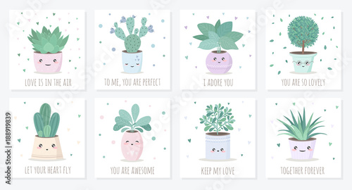 cute house plant in flower pot