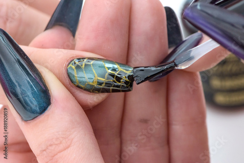 Colorful Nail Art. Closeup of woman hands nails with magnetic