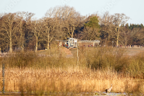 Wetland landscape at lake Hornborgasjon in Sweden photo