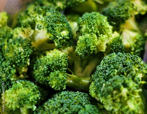 broccoli sprouts
