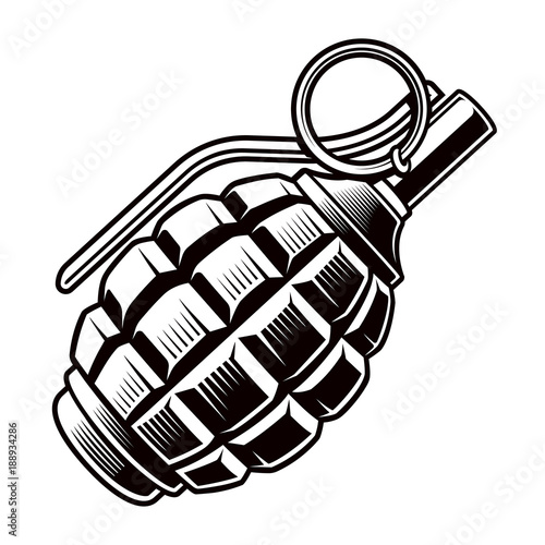 Grenade vector