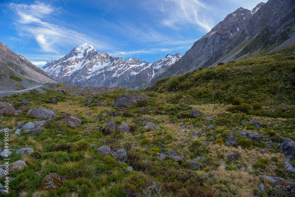 Fototapeta premium landscape of mt.cook national park, New Zealand