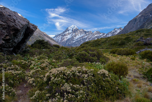 landscape of mt.cook national park, New Zealand