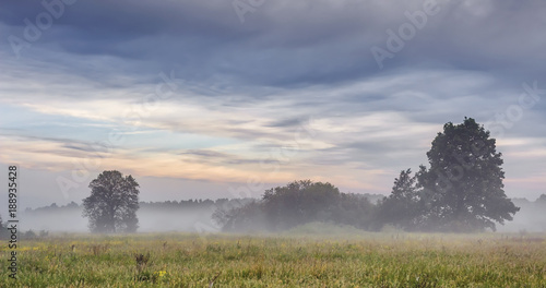Spring landscape of morning nature. Spring meadow with trees under cloudy sunrise sky. Scenic mist on summer field.