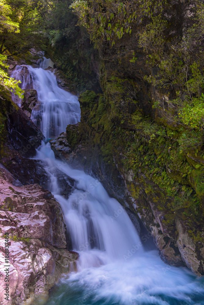 Fototapeta premium Waterfall in milford sound, New Zealand